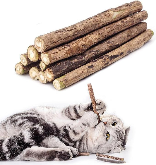 20 PCS Cat Catnip Sticks Natural Matatabi Silvervine Sticks - Cleaning Teeth Molar Tools Kitten Chew Toy Natural Catnip Cats Toy