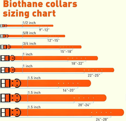 Dogline Biothane Waterproof Dog Collar Strong Coated Nylon Webbing with Black Hardware Odor- Proof for Easy Care Easy to Clean High Performance Fits Small Medium or Large Dogs, Hunter Orange