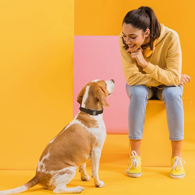 Dogline Biothane Waterproof Dog Collar Strong Coated Nylon Webbing with Black Hardware Odor- Proof for Easy Care Easy to Clean High Performance Fits Small Medium or Large Dogs, Dark Chocolate Brown