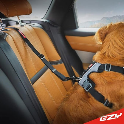 EzyDog Click ISOFIX Cargo - Dog Seat Belt Car Harness Attachment for Dogs - Adjustable Dog Restraints Seatbelts for Car Travel and Safety - (24in - 40in, Black)