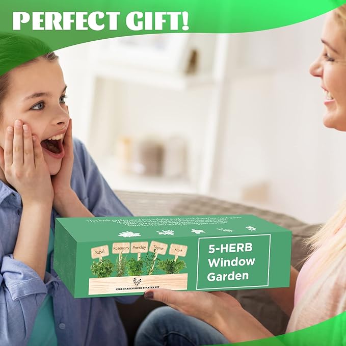 5 Herb Seeds Garden Starter Kit with Complete Planting Kit & Wooden Flower Box, Growing into Basil, Parsley, Rosemary, Thyme, Mint for Kitchen Windowsill Herb Garden DIY