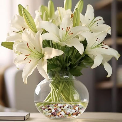 2.5lbs Pebbles for Indoor Plants, 3/8 Inch Small Rocks for Potted Plants, Succulents, Vase Fillers, Cactus Planters, Bird Bath, Fountain, Outdoor Garden Landscaping