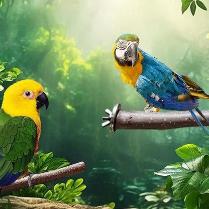 Allazone 10 PCS Natural Parrot Perch Bird Cage Accessories, Bird Platforms, Wood Stands, Grinding Fork Parakeet Platform for Small Lovebirds Budgies Cockatiels