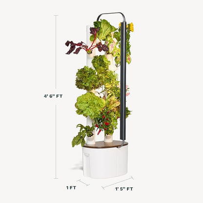 Gardyn Studio Hydroponics Growing System Kit & Vertical Indoor Garden Planter | Smart Herb Garden | Includes 16 Non-GMO Indoor Plants, Herbs, Vegetables & LED Grow Light for Your Home Gardening System