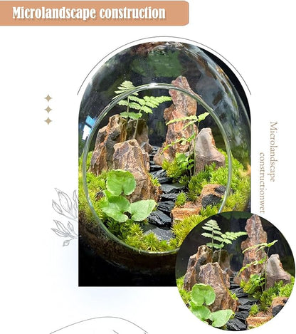 Dragon Rocks Aquarium Rock aquascaping Natural Stone Rocks Fish Tank Decor Rocks for Aquariums Landscaping Model Tank Decoration Aquarium Miniature -20Lb (2-8 inch)