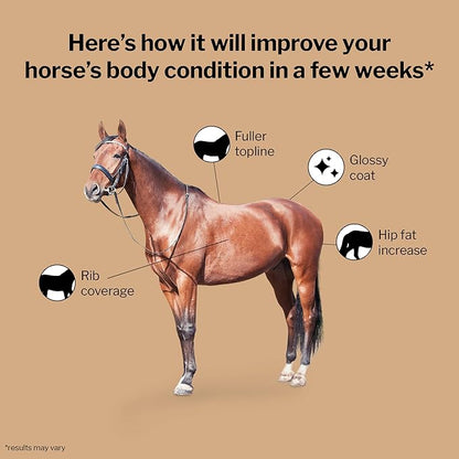 Formula 707 Weight Gain Crumble Equine Supplement, 7 lb Bag – Palatable, Calorie-Rich Nutritional Support for Hard-to-Keep and Senior Horses