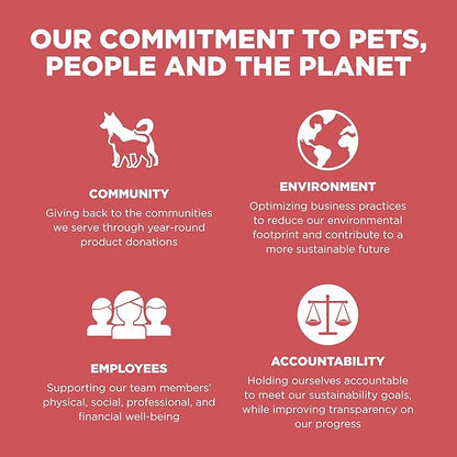 Go! Solutions Sensitivities Limited Ingredient, Grain-Free Dry Cat Food, Salmon Recipe for Sensitive Stomach, 6 lb Bag