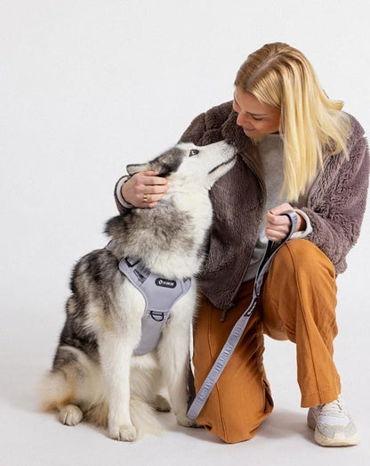 2025 New Edition, Fei & Eve MagEase Dog Harness - 3-Second Magnetic Buckles | 3-Point No-Pull Control | Heavy-Duty 900D Nylon | Dual Safety Handles | Breathable Mesh | Adjustable Fit | Medium, Gray