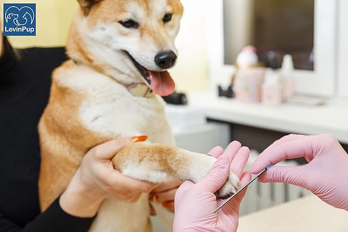 Dog Nail Filer, Professional Nail Grooming Tool, Dog and Cat Nail Files, for Smoothing Rough Edges of Pet’s Nails, Best Nail Filer for Small/Large Dogs & Cats (3 Dog Nail Filers Set)