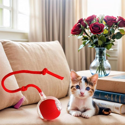 Electric Cat Toy - Automatic Rolling cat Toy with Motion sensors, Designed for Indoor Cats, Suitable for Solo Play (USB Rechargeable) (Red)