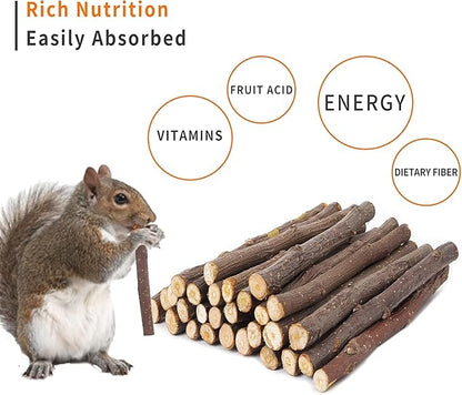 600g Apple Sticks Molar Wood Treats, Rabbit Toys Chinchilla Guinea Pig Bunny Toys Wood Chews Sticks for Teeth Rabbit Food Guinea Pig Hamster Gerbil Chews Small Animals Snacks(150 Pcs)