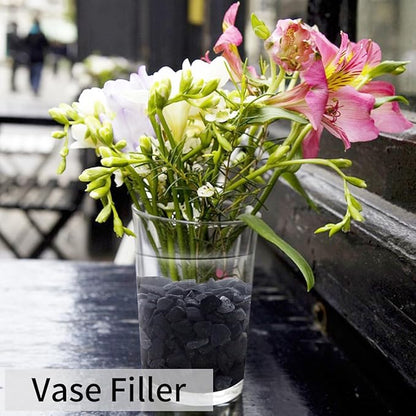 2lbs Black Gravel, 3/8 Inch Black Stones. Decorative Black Rocks for Succulent Plants, Vase, Cactus, Bamboo Plants and Outdoor Garden Landscaping