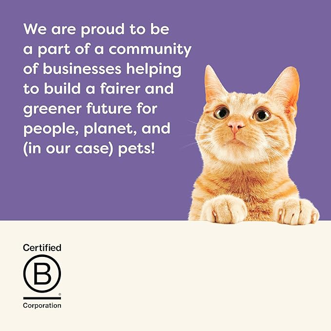 Applaws Natural Wet Cat Food in Broth, Made with Limited and Natural Ingredients, Chicken Selection Variety Pack in Broth (12 x 5.5oz Cans)