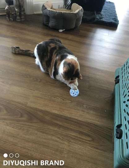 15-Pack Cat Toy Variety for Indoor Cats, Jumping for Joy (1.5'' - 3.7'', Cat Toys Mega Set)