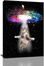 Funny Cat Wall Art Canvas Galaxy Wall Decor Prints Framed Painting Animal Pictures Gifts Artwork for Bathroom Living Dining Kitchen 16"x24"