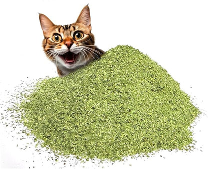 Fiend Catnip + Silvervine for Cats & Kittens Safety-Cut Premium Fine Cat Nip Blend with Vegan Silvervine + Sticker – Ultra Potent, North American – 1 Cup (34.5g) Go Ahead, Create a Monster!