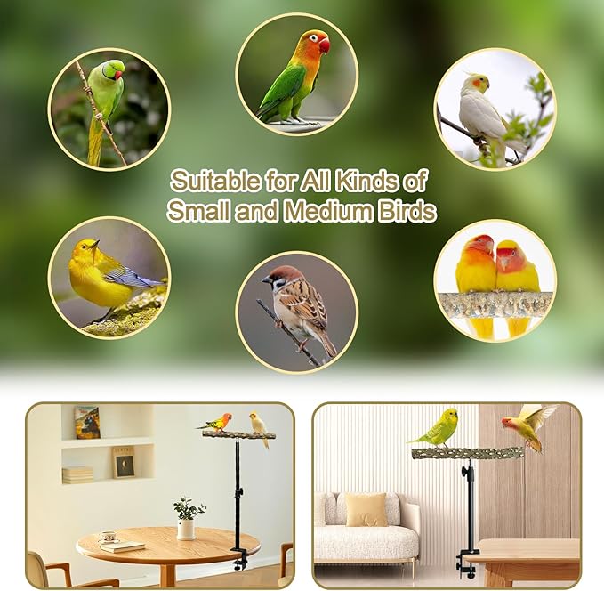 13-23 Inch Height Adjustable Desktop Bird Perch Pepper Wood Bird Training Perch Stand Parakeet Perches Indoor and Outdoor Parrot Stands for Small to Medium Bird
