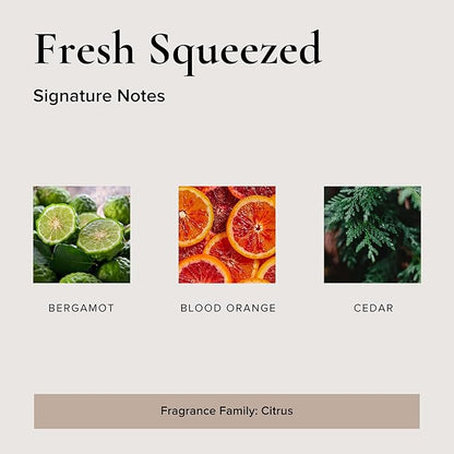 Fresh Squeezed Car Air Freshener - 4 Pack