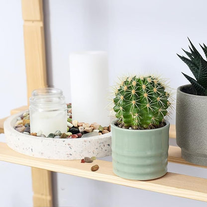 5lbs Small Succulent Rocks, 3/8 Inch Colorful Pebbles for Plants, Decorative Rocks for Plants Indoor, Vases, Planters and Outdoor Gardening Stones