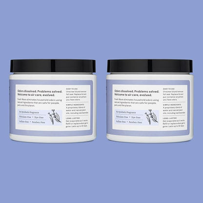 Fresh Wave Lavender Odor Removing Gel, 15 oz., Pack of 2 - Safer Odor Absorbers for Home, Natural Plant-Based Odor Eliminator, Every 15 oz. lasts 30-60 Days, For Cooking, Trash & Pets
