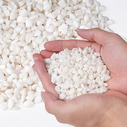 2.5 lbs White Aquarium Gravel, 1/5 Inch White Rocks for Plants, Small Pebbles for Vases, Succulents, Bamboo, Natural Decorative Pebbles for Plants Drainage, Cactus, Crafts