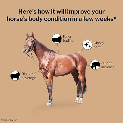 Formula 707 Weight Gain Equine Supplement, Daily Fresh Packs, 28 Day Supply - Palatable, Calorie-Rich Nutritional Support for Hard-to-Keep and Senior Horses