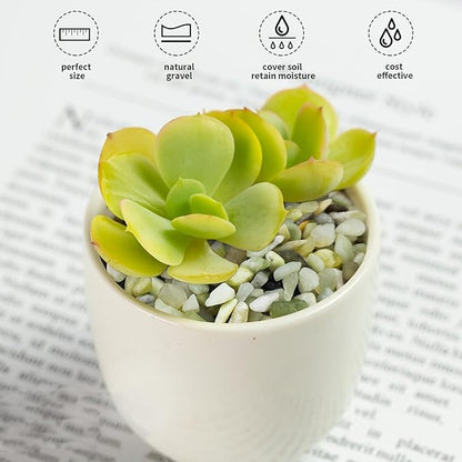 2 lbs Jade Rocks for Plants Indoor, 1/4 inch Small Pebbles for Plants, Decorative Rocks for Succulents Cactus Vases Landscaping Drainage and Outdoor Garden Rocks