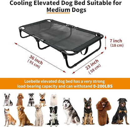 Elevated Dog Bed, Foldable Raised Dogs Bed Outdoor Dog Cots Beds for Large Dogs Cooling Outside Camping Chew-Proof No Assembly Need, Black