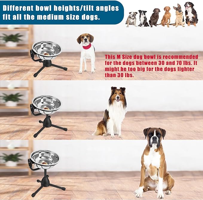 2 Pack Elevated Bowls With Adjustable Metal Stand, Medium Size for Dogs 30-70 lbs, 0.5 Gal 2 Liter, Stainless Steel Food Water Bowl, Height Adjustable Non-Slip Raised Set