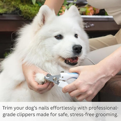 AIXINPET Dog & Cat Nail Clippers and Trimmers - with Free Nail File, Protective Guard to Avoid Over Cutting, Extra Sharp Blade - Suitable for Small to Large Dogs & Cats, Birds and Rabbits (Small)