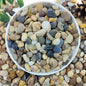 10lbs Natural River Rocks for Plants, 3/8" Aquarium Gravel Decorative Polished Mixed Pebbles for Fish Tank, Gardening, Flower Pots, Vase Fillers, Indoor Water Fountains, Landscaping
