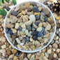 5lbs Natural River Rocks for Plants, 3/8" Aquarium Gravel Decorative Polished Mixed Pebbles for Fish Tank, Gardening, Flower Pots, Vase Fillers, Indoor Water Fountains, Landscaping