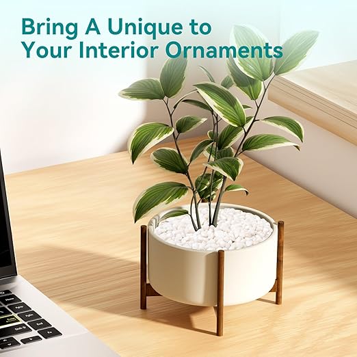 2.5 lbs Small White Rocks for Planters, 3/8" White Pebbles for Vases, Decorative Small Stones for Plants, Succulents, Bamboo, Terrarium, Landscape, Garden