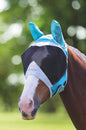 FLYGUARD FINE MESH Fly MASK with Ears (XS Pony, Teal)