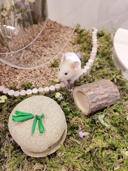 5L Forest Moss for Hamster Syrian Gerbils Bedding, Natural Moss Perfect for Potted Plants, Terrariums, Reptile Tanks and Live Creature Projects