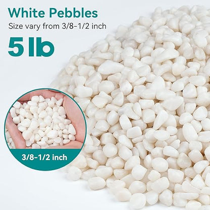 5 lbs Small White Rocks for Planters, 3/8" White Pebbles for Vases, Decorative Small Stones for Plants, Succulents, Bamboo, Terrarium, Landscape, Garden