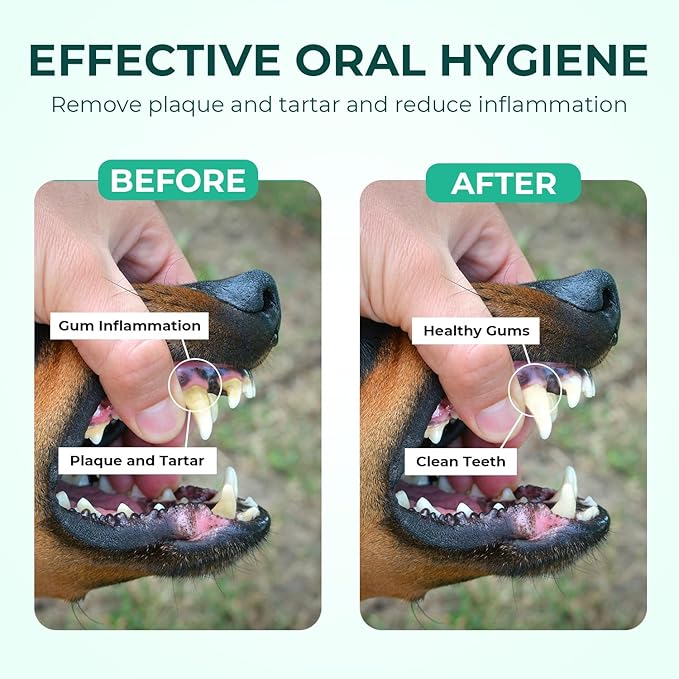 Dog Teeth Cleaning Wipes 50 Pack, Reduces Plaque and Freshens Breath, Dog Dental Wipes Dog Tooth Brushing Kit, No-Rinse Dog Toothbrush Finger Wipes Dental Care for Dogs Cats