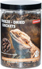 Freeze Dried Crickets – 4.5 Oz High Protein Freeze Dried Crickets, Food for Reptiles, Bearded Dragons, Lizards, Geckos, Birds, Fish,Hedgehogs, Bearded Dragon Food