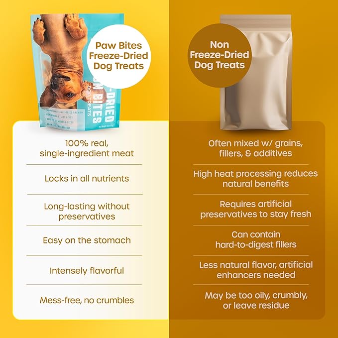 Freeze Dried Dog Treats - Wild Caught Salmon - Dog Food Dry Snacks - with Protein & Omega 3s - for All Breeds & Sizes - No Artificial Flavors & Dyes, No Preservatives - 1 Pouch, 4 oz