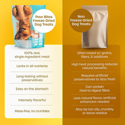 Freeze Dried Dog Treats - Wild Caught Salmon - Dog Food Dry Snacks - with Protein & Omega 3s - for All Breeds & Sizes - No Artificial Flavors & Dyes, No Preservatives - 1 Pouch, 4 oz