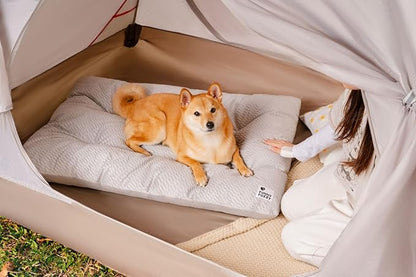 FUNNY FUZZY Washable Dog Bed,Reversible Plush Dog Crate Mat, Soft Fluffy Kennel Pad,Pet Sleeping Mattress for Large,Jumbo,Medium Sized Dogs Breeds,Indoor Cats,41.7" × 28.3", Light Grey