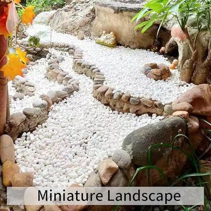 10LB Natural Succulent Gravel Decorative White Rocks - 3/8'' Small White Pebbles for Plants, Decorative Stones, Succulent Rocks Pebbles for Planter, Aquarium Pea Gravel for Landscaping