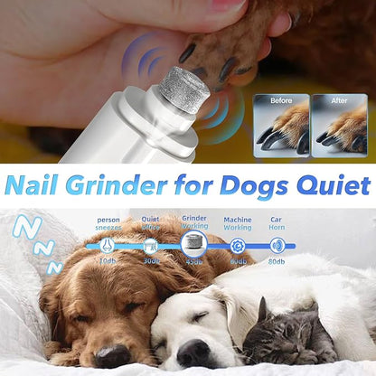 2 in 1 Dog Nail Clippers and Grinder with Lights & Cat Nail Clipper for Large Medium Small Dogs Cats Nail Trimmers USB Rechargeable with 2 LED Lights Dog Claw Care for Non-Black Nails