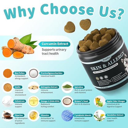 Dog Skin & Allergy Chews - Dog Probiotics for Sensitive Skin Health Support - Allergy Relief - Support Seasonal Allergies, Immune & Gut & Digestive Health Supplement - Beef Flavor - 90 Count