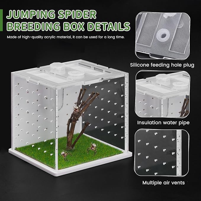 Acrylic Jumping Spider Enclosure, 2.95×2.95×2.87in Transparent Reptile Terrarium, Versatile Tarantula Enclosure for Small Reptiles/Insects, Small Reptile Tank with Dropper, Jumping Spider Accessories