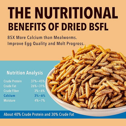 10lb Dried Black Soldier Fly Larvae Treat for Chickens More Calcium Than Mealworms,for Laying Hen,Wild Birds(10 Pound)