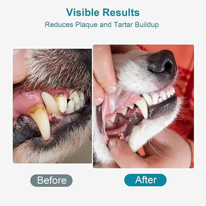 Dog Teeth Cleaning Powder 100g Fights Plaque & Tartar Freshens Breath All-Natural Ingredients for Dogs of All Breeds and Ages Easy to Use Dog Dental Powder