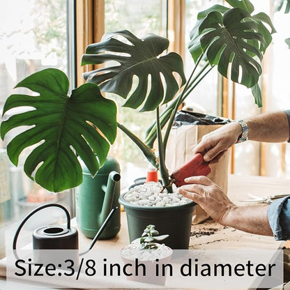 10LB Natural Succulent Gravel Decorative White Rocks - 3/8'' Small White Pebbles for Plants, Decorative Stones, Succulent Rocks Pebbles for Planter, Aquarium Pea Gravel for Landscaping