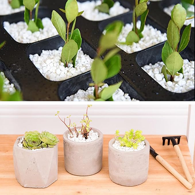 45lb White Cactus Pea Gravel Rocks,1/4 Inch Pebbles for Indoor Plants, Natural Succulent Rock and River Rocks Decorative for Aquariums, Vases, Outdoor Gardening, Top Dressing for Potted Plants