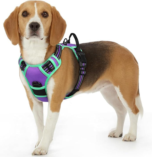 Eagloo Dog Harness Small Sized Dog, No Pull Service Vest with Reflective Strips and Control Handle, Adjustable and Comfortable for Walking, No Choke Pet Harness with 2 Metal Rings, Purple & Green, S